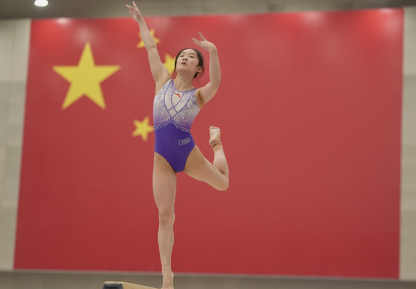 ng28加拿大下载最新指南